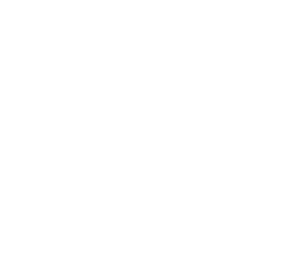 Point Blank Latam